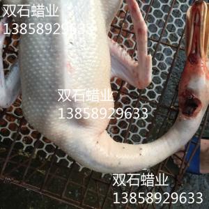双石蜡业使用效果