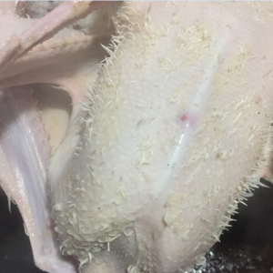 脱毛效果