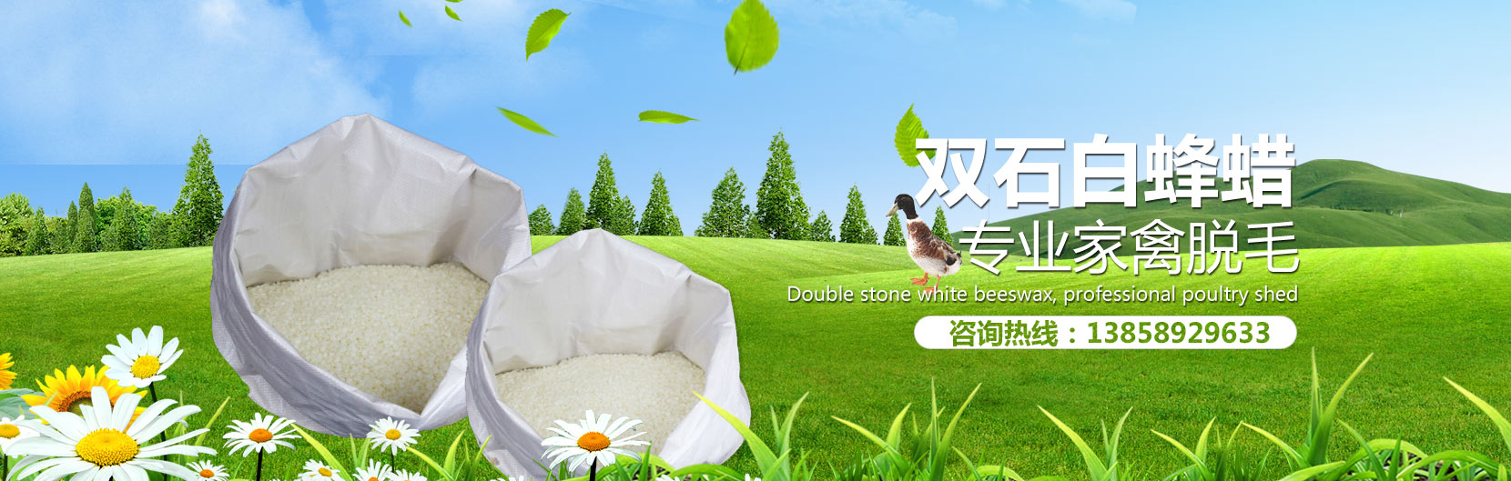 Responsive image