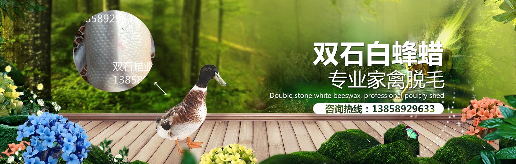 Responsive image